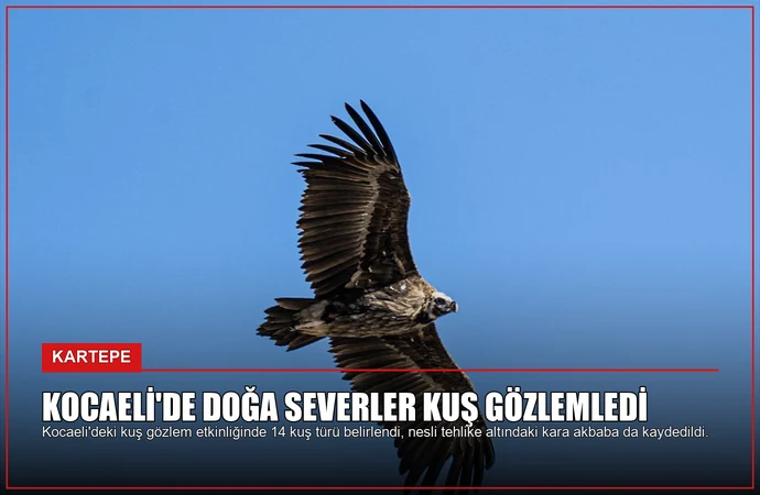 news card 3c768c003fec80f8