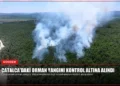 news card 3fb4d3b3b2e93d33
