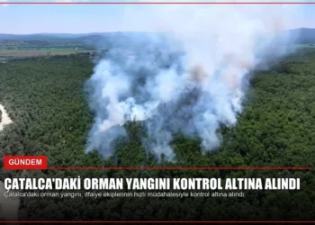 news card 3fb4d3b3b2e93d33