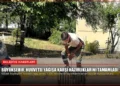 news card 404e0d3fc5d152fd
