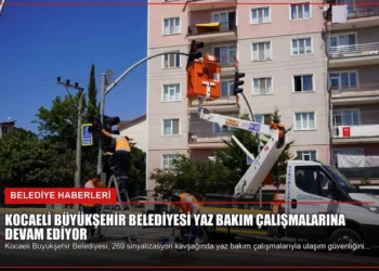 news card 41b7926259a29cfc