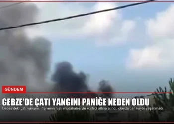 news card 42f1e624513a3dd5