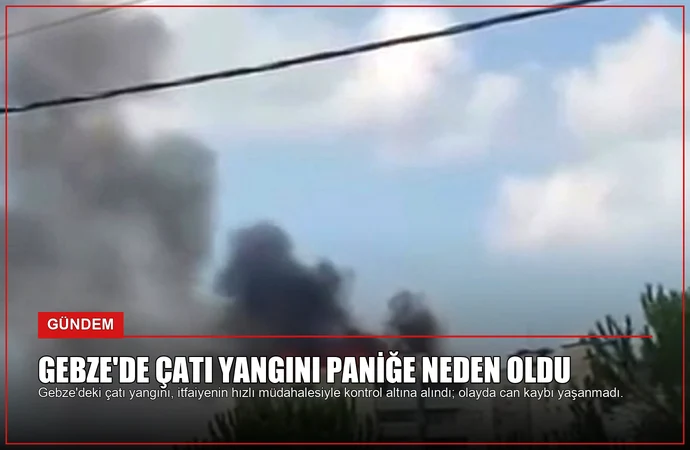 news card 42f1e624513a3dd5