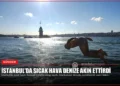 news card 439846c7c22de784