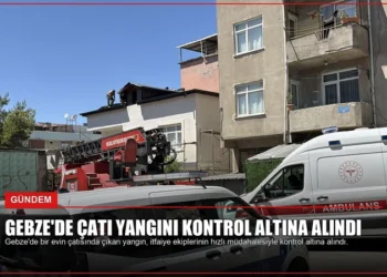 news card 454d2a0d5154a937