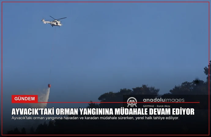 news card 460993930003c230