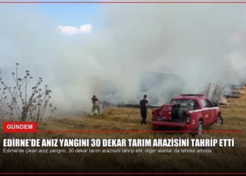 news card 4646dba7366a5b1b
