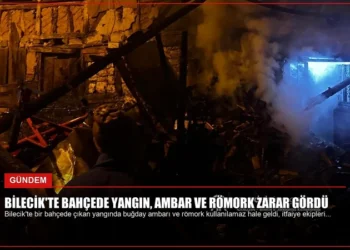 news card 467c368942979f6c