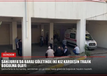news card 48a65a3df249207a