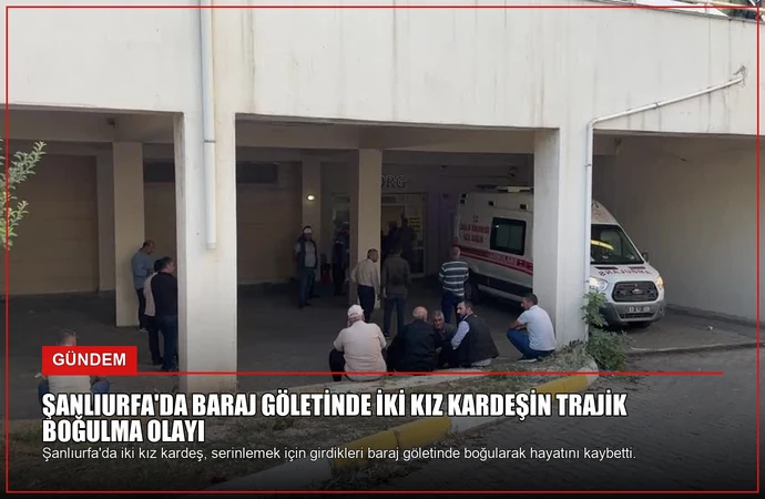 news card 48a65a3df249207a