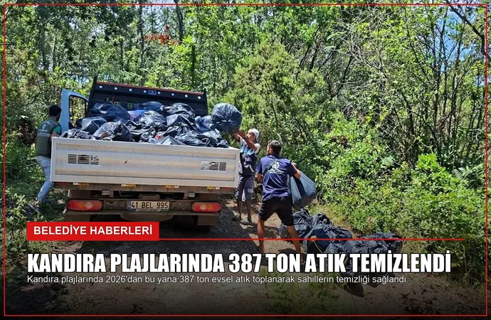 news card 504b277fb80fee8b