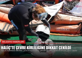 news card 534baa41991fcbdb