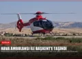 news card 53ad05bf1c9bae33