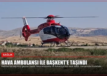 news card 53ad05bf1c9bae33
