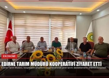 news card 5792dffcddce3e9d