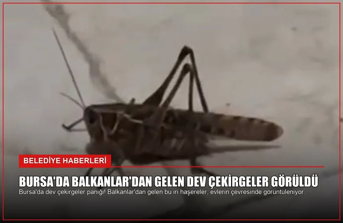 news card 5ce1a5769076e870