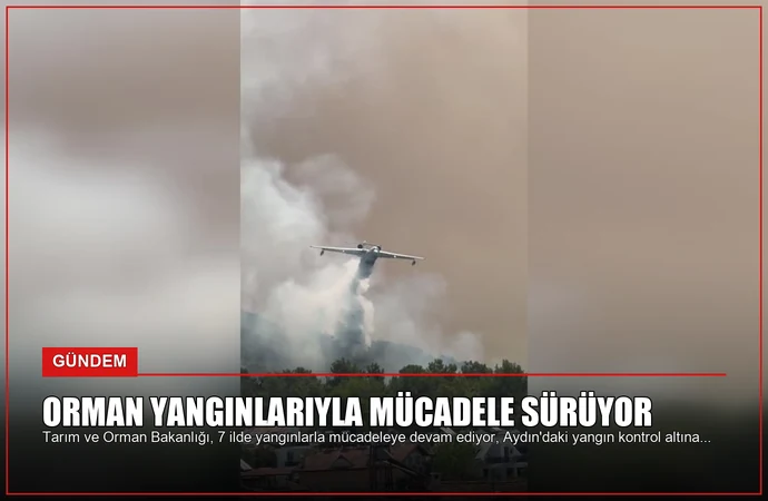 news card 5d3a61bdba2cfcd4