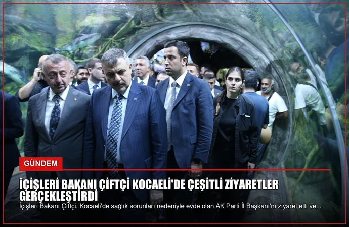 news card 6678fa237941927c