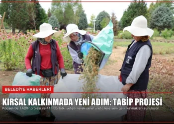 news card 683f6244db33fc0c