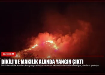 news card 69f4148d834ef049