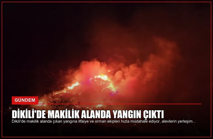 news card 69f4148d834ef049