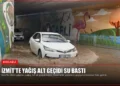 news card 6a8c8cf79c5afde0