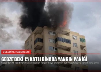 news card 6b070a0566f603c7
