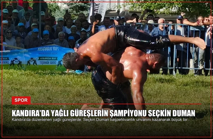 news card 6d6085363408f203