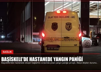 news card 6dc36db45207d2b1