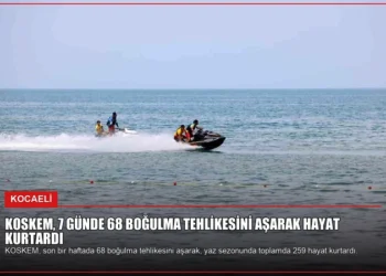 news card 6e59692230264197
