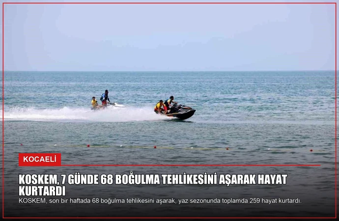 news card 6e59692230264197