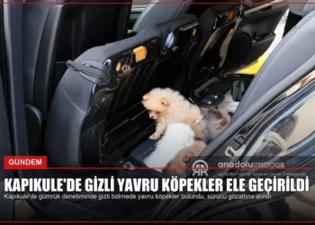 news card 6f32d7878db4fd61