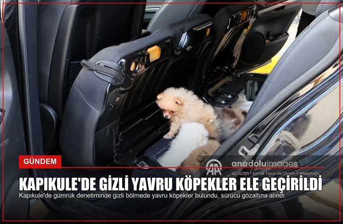 news card 6f32d7878db4fd61