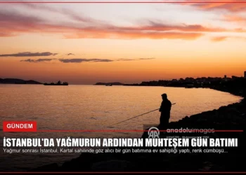 news card 721b25db56e86f82