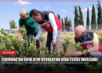 news card 7586063e566f8258