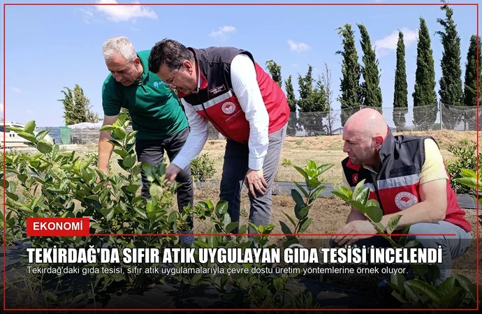 news card 7586063e566f8258