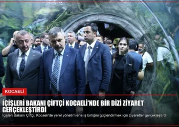 news card 77f329ef6d18ad9d
