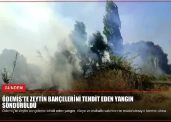 news card 7a1100775b63c5c8