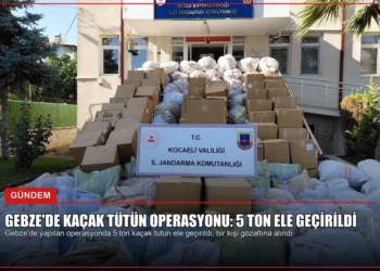 news card 7a3694efc0acf85f