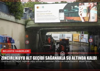 news card 7b03ab2789b6b00d