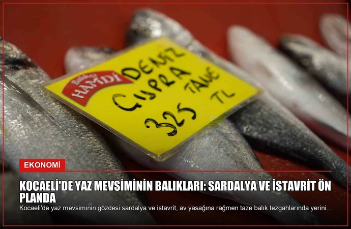 news card 7c2c98095b86eca0