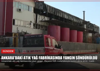 news card 7cc484f6e0a1375b
