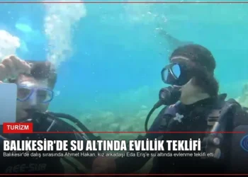 news card 7f88f162227508e7