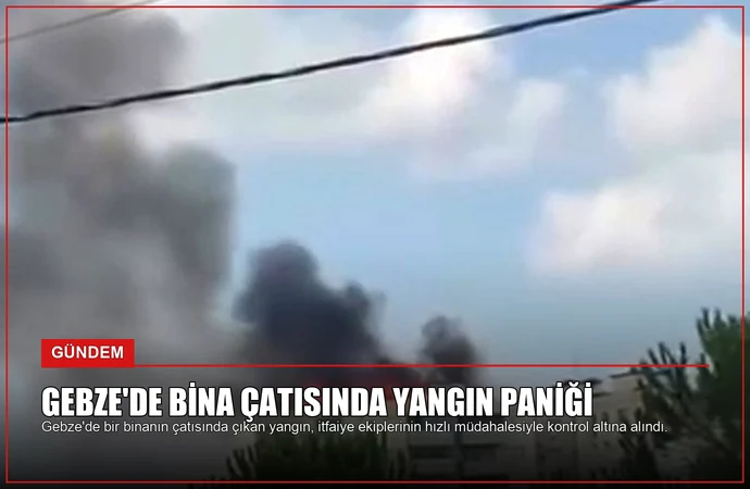 news card 804406deba65dcd7
