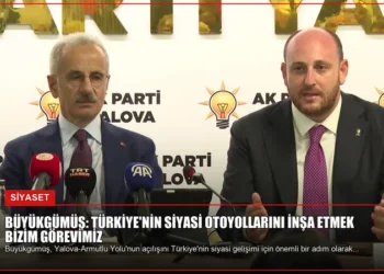 news card 804af9db0f497553