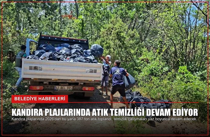news card 811acd91a3343c8e