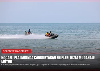 news card 830d9d714bd9a956