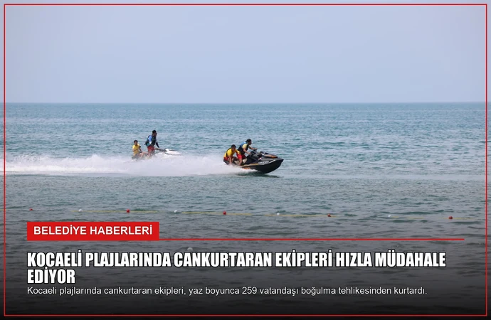 news card 830d9d714bd9a956