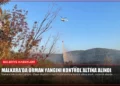 news card 84a006d7742ecd78