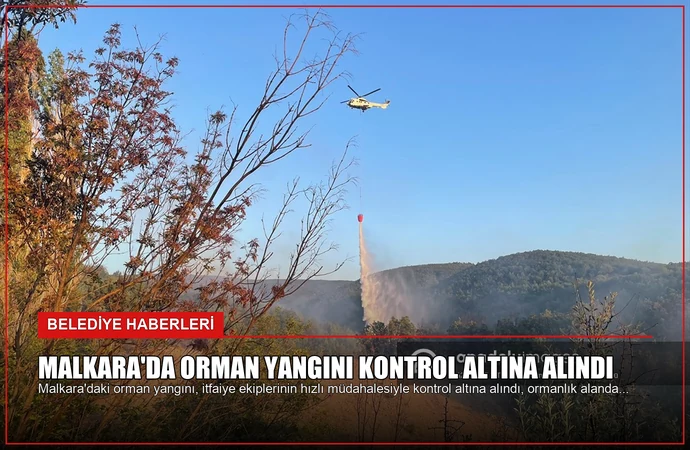 news card 84a006d7742ecd78